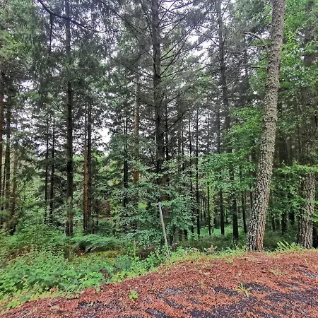 O Recuncho De Tibias *